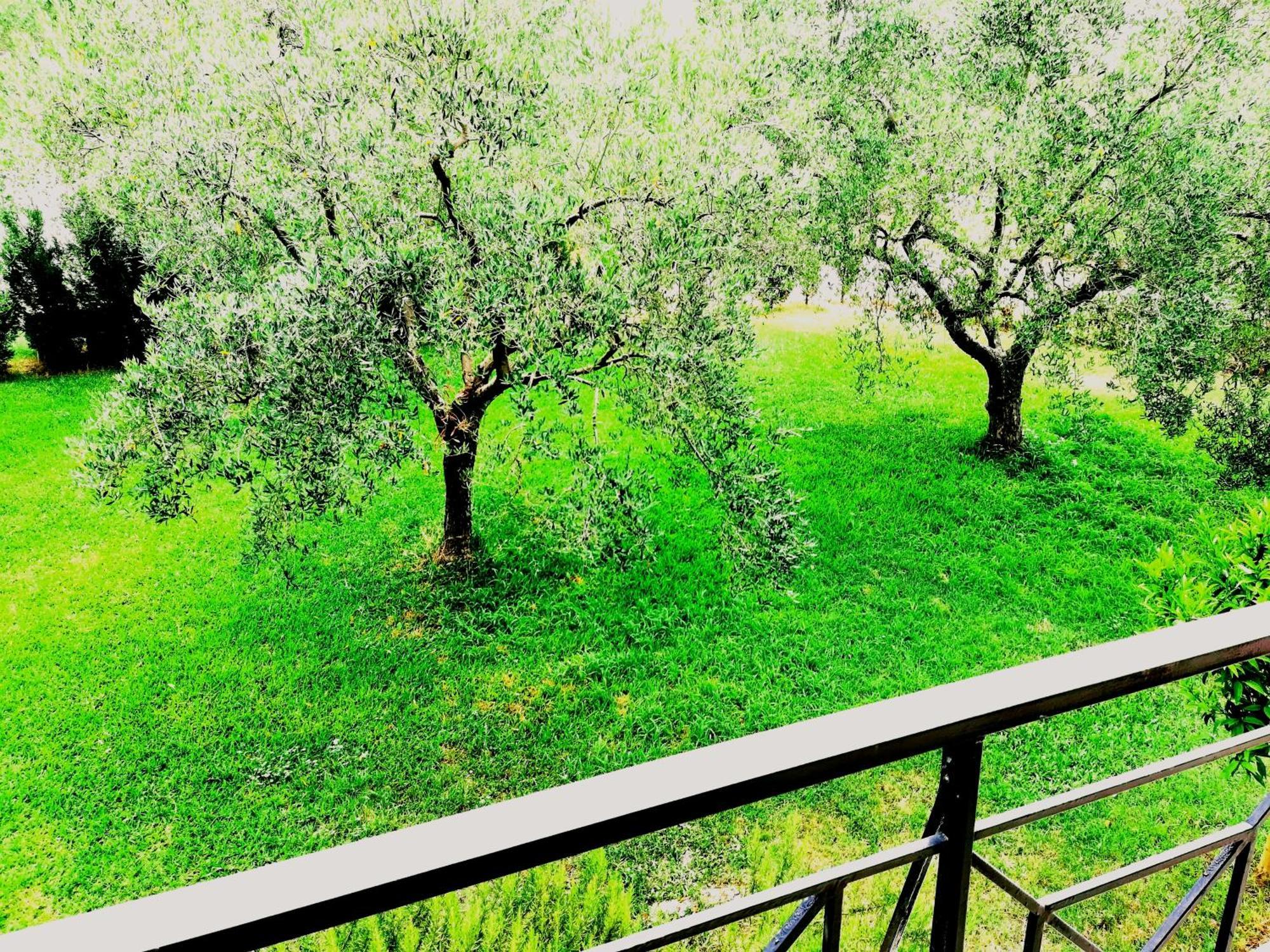 Giorgos Apartments Skála Foúrkas エクステリア 写真